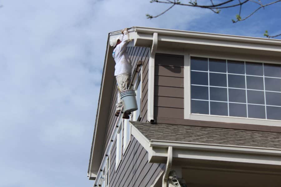 Painter on ladder